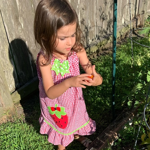 Strawberry 🍓 Dress Size 4T Girls Summer - Picture 4 of 4